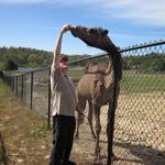 Nemacolin Animal Tour