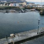 HarbourMasterAberaeron